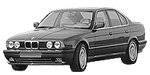 BMW E34 P2442 Fault Code